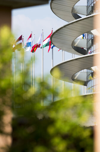 Fotografija 16: Flags in the European Parliament in Strasbourg