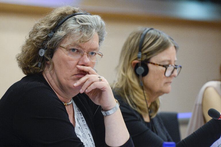 Foto 8: CULT Committee meeting: ' Better services for skills and qualifications (Europass) '