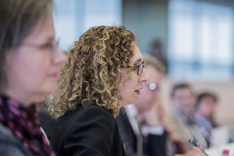 Fotografija 12: Joint JURI / LIBE Workshop: ' The training of judges and legal practitioners '