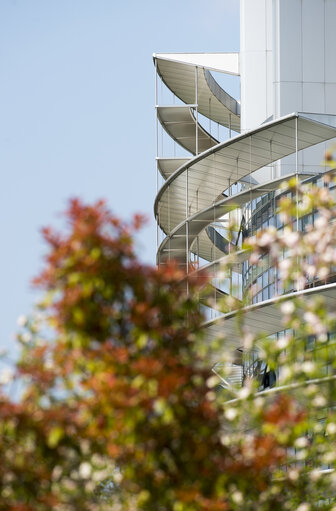 Fotografija 21: Flags in the European Parliament in Strasbourg