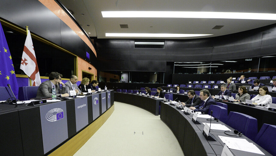 Photo 2 : 4th EU-Georgia Parliamentary Association Committee (PAC)