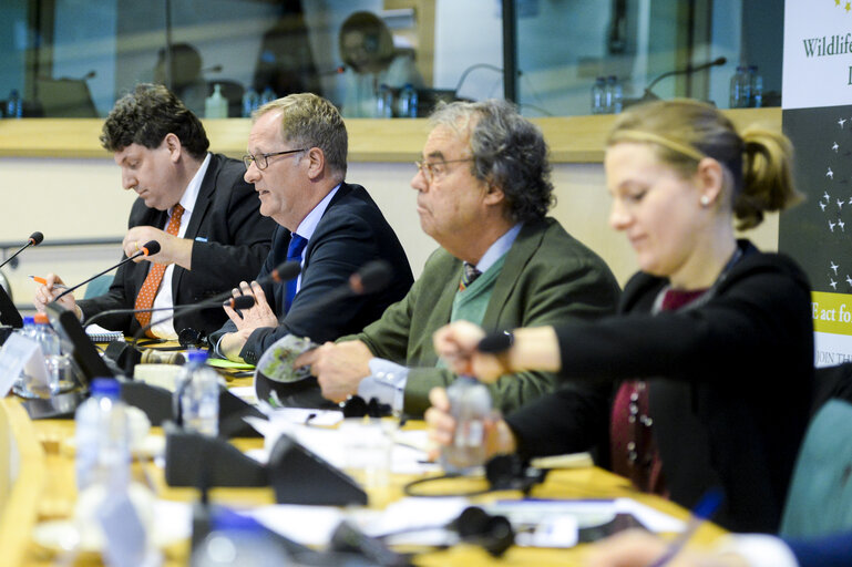 Foto 13: A Sustainable European Agriculture: Is Greening the Way Forward?