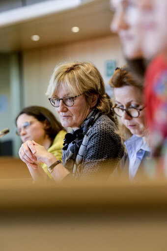 Fotografia 1: PETI - LIBE - JURI - AFCO - Hearing  ' Union Citizenship in Practice : our common values, rights and democratic participation '