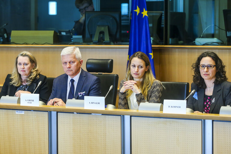 Fotogrāfija 8: DROI Subcommittee debate' Working Group on Eastern Neighbourhood and Enlargement '