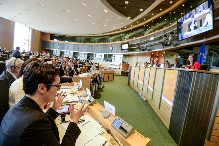 Fotografia 4: PETI - LIBE - JURI - AFCO - Hearing  ' Union Citizenship in Practice : our common values, rights and democratic participation '