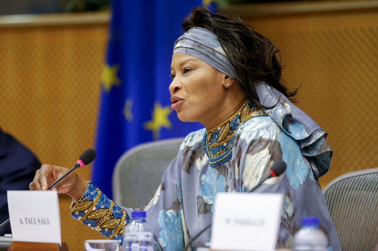 Africa/EU relations ‚Äì Past, present and future