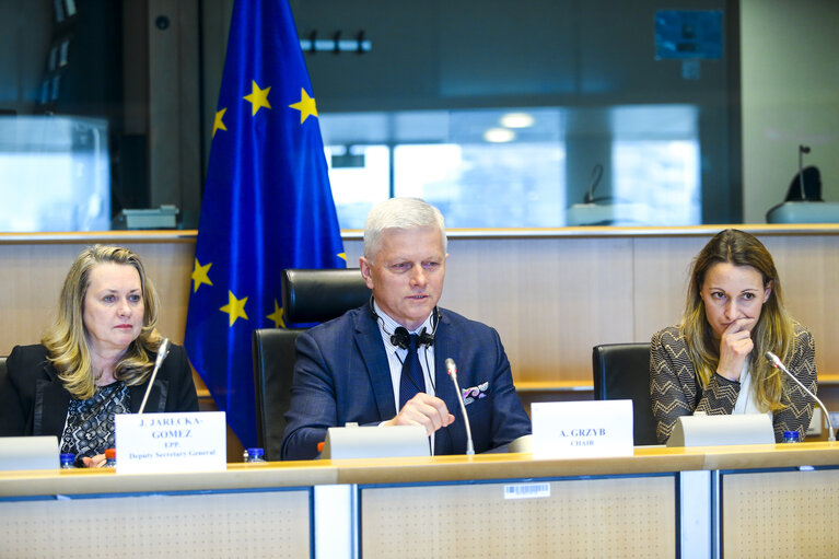 Fotogrāfija 3: DROI Subcommittee debate' Working Group on Eastern Neighbourhood and Enlargement '