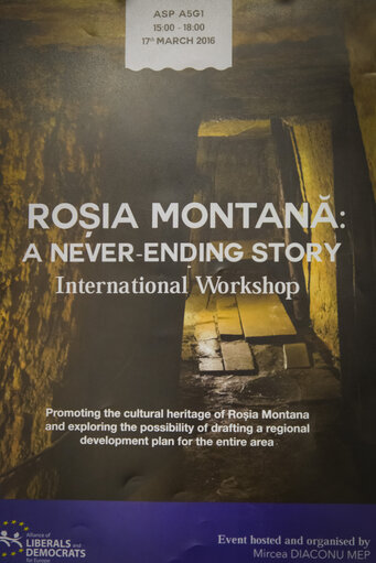 Foto 16: Workshop ' Rosia Montana - A Never-ending Story '