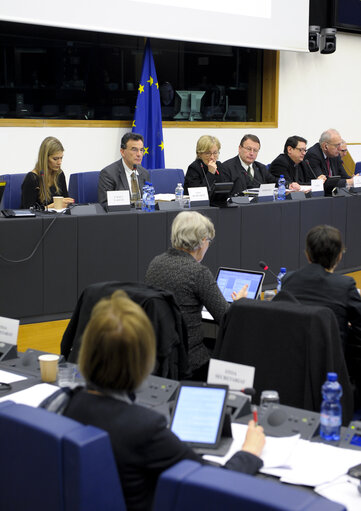 Fotografija 6: STOA Science and Technology Option Assessment Panel Meeting