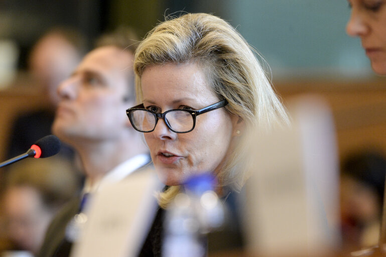 Foto 4: JURI Public Hearing ' Modernisation of EU Copyright rules '