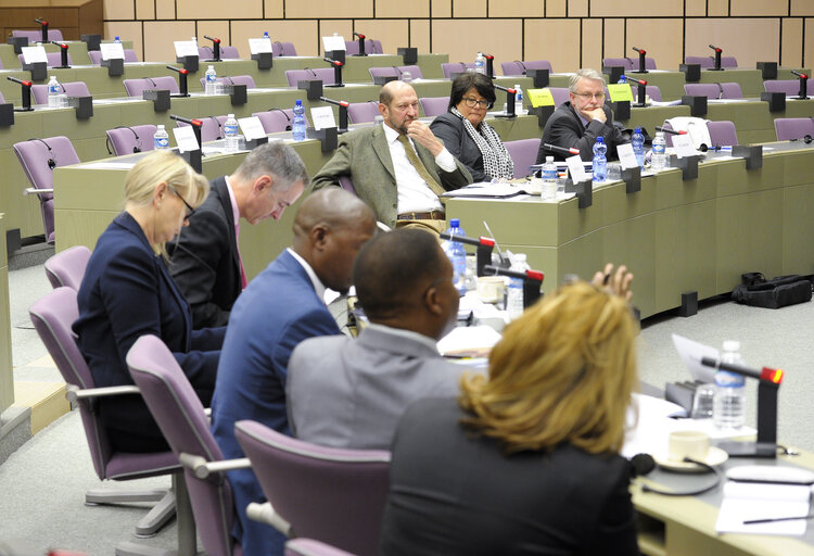 Valokuva 3: 23rd EU-South Africa Interparliamentary meeting