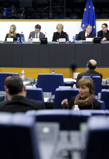 Fotografija 10: STOA Science and Technology Option Assessment Panel Meeting