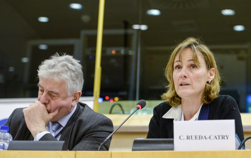 Photo 12 : Conference ' Mercosur Trade Deal : What impact on EU agriculture '