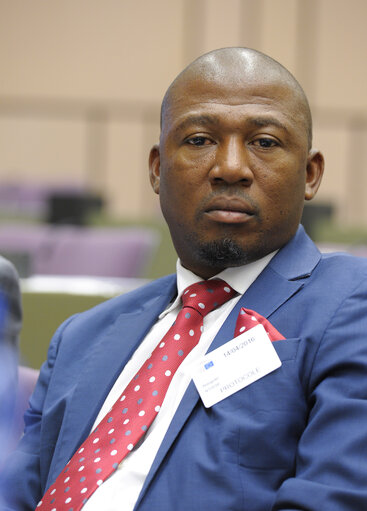 Foto 8: 23rd EU-South Africa Interparliamentary meeting