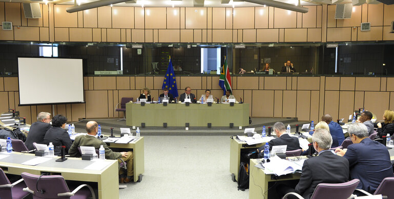 Photo 17: 23rd EU-South Africa Interparliamentary meeting