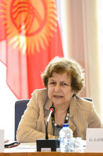 Fotografie 14: 11th EU-KYRGYZ Republic Parliamentary Cooperation Committee