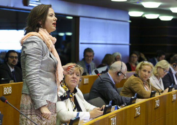 Fotografi 47: Plenary session week 17 2016 in Brussels.  Vote