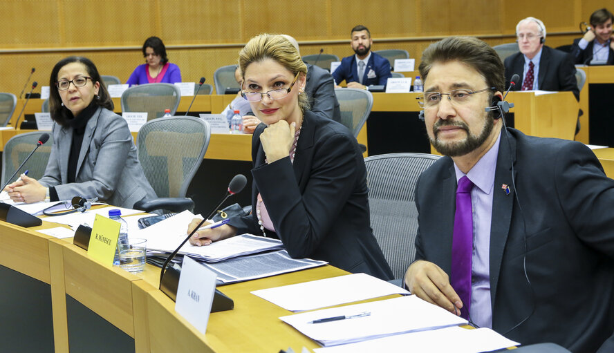 Снимка 10: GCC Joint Parliamentary Committee, Delegation for relations with the Arab Peninsula