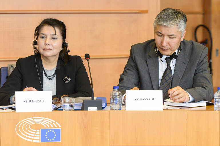 Fotografie 11: 11th EU-KYRGYZ Republic Parliamentary Cooperation Committee