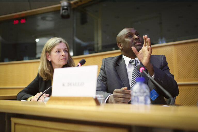 Foto 5: STOA meeting - The case for investing in health within the developing world