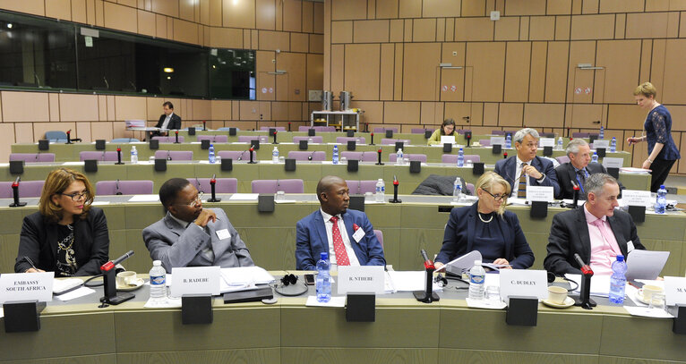 Valokuva 13: 23rd EU-South Africa Interparliamentary meeting