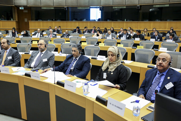 Снимка 19: GCC Joint Parliamentary Committee, Delegation for relations with the Arab Peninsula