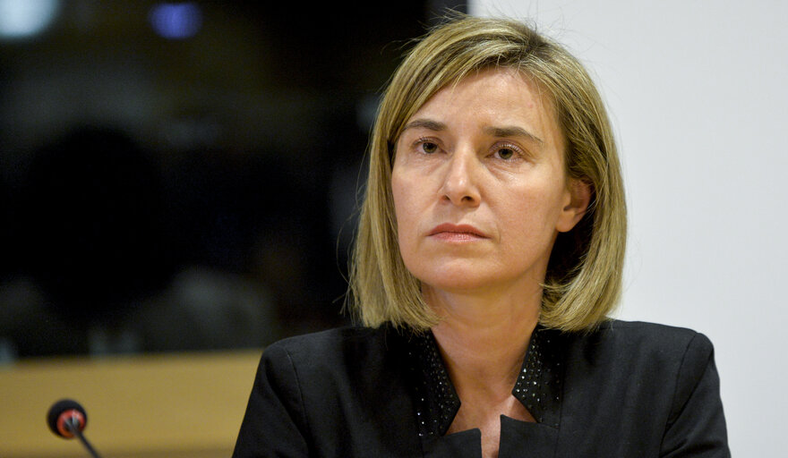 Φωτογραφία 16: Film screening of the documentary Fuocoammare - Debate on 'Migration Policy'