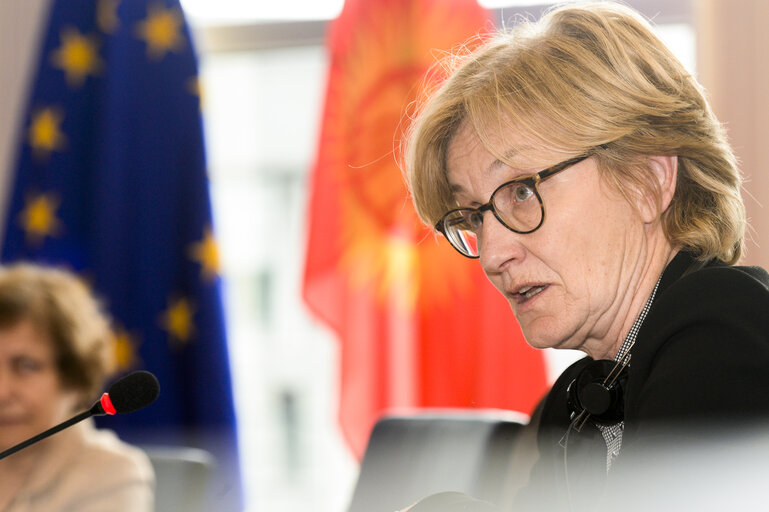 Fotografie 7: 11th EU-KYRGYZ Republic Parliamentary Cooperation Committee