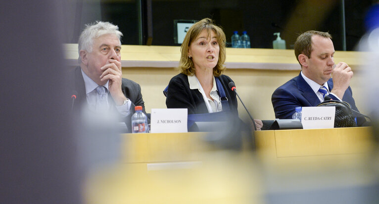 Photo 15 : Conference ' Mercosur Trade Deal : What impact on EU agriculture '