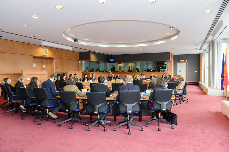 Fotografie 19: 11th EU-KYRGYZ Republic Parliamentary Cooperation Committee