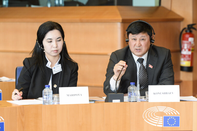 Fotografie 10: 11th EU-KYRGYZ Republic Parliamentary Cooperation Committee