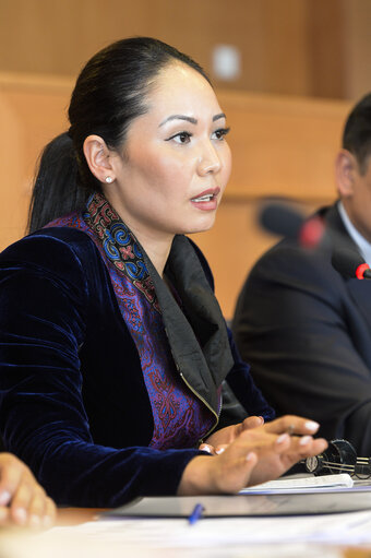 Fotografie 8: 11th EU-KYRGYZ Republic Parliamentary Cooperation Committee