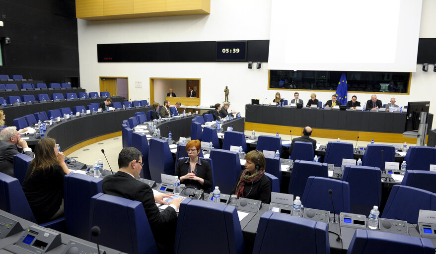 Fotografija 4: STOA Science and Technology Option Assessment Panel Meeting