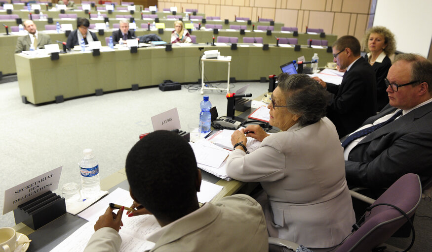 Photo 16: 23rd EU-South Africa Interparliamentary meeting