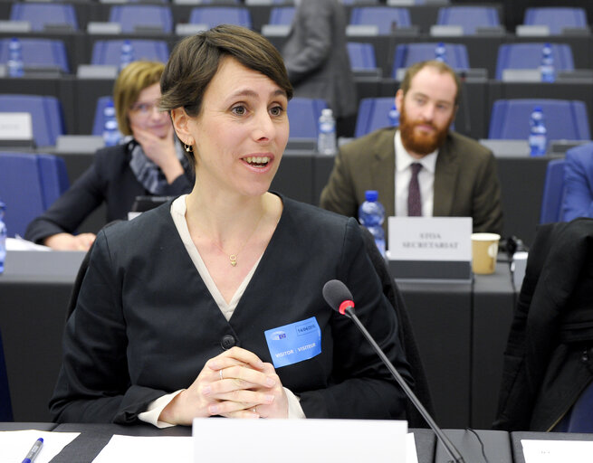 Fotografija 1: STOA Science and Technology Option Assessment Panel Meeting