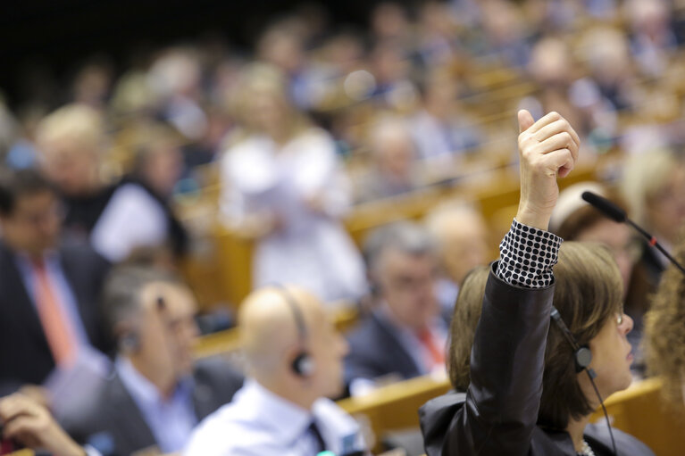 Fotografi 49: Plenary session week 17 2016 in Brussels.  Vote