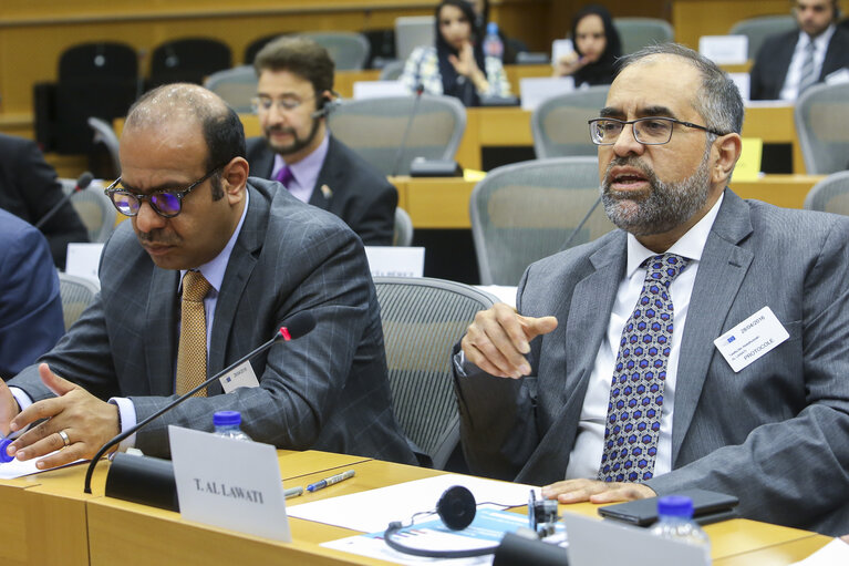 Снимка 9: GCC Joint Parliamentary Committee, Delegation for relations with the Arab Peninsula