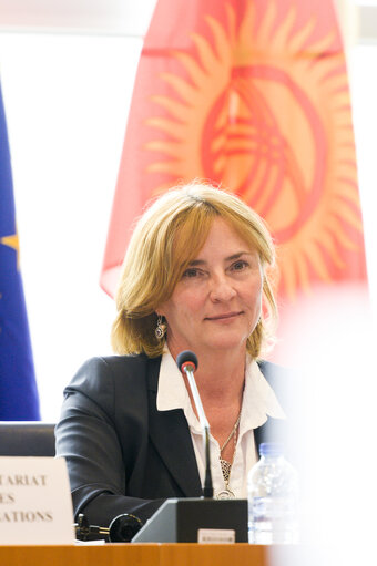 Fotografie 5: 11th EU-KYRGYZ Republic Parliamentary Cooperation Committee