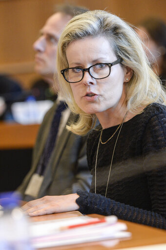 Foto 5: JURI Public Hearing ' Modernisation of EU Copyright rules '