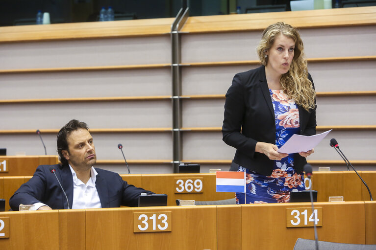 Fotografie 24: Plenary session week 17 2016 in Brussels.  Council and Commission statements - Legal aspects, democratic control and implementation of the EU-Turkey  agreement