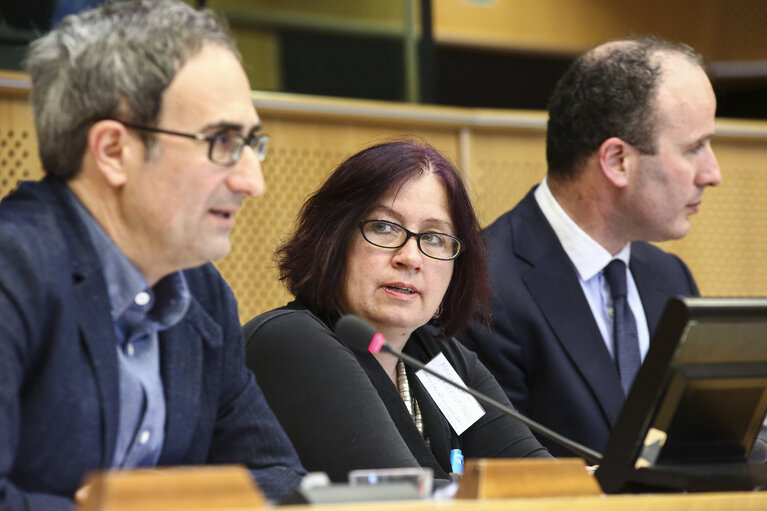 Photo 5: Conference ' A Europe of Diasporas '