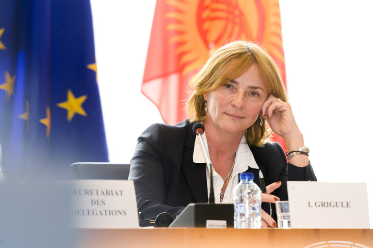 Fotografie 3: 11th EU-KYRGYZ Republic Parliamentary Cooperation Committee