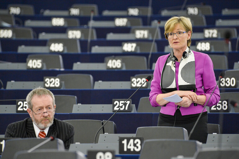 Photo 5 : Plenary session week 19 2016 in Strasbourg - Explanations of votes