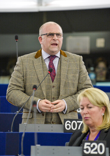 Photo 8 : Plenary session week 19 2016 in Strasbourg - Explanations of votes