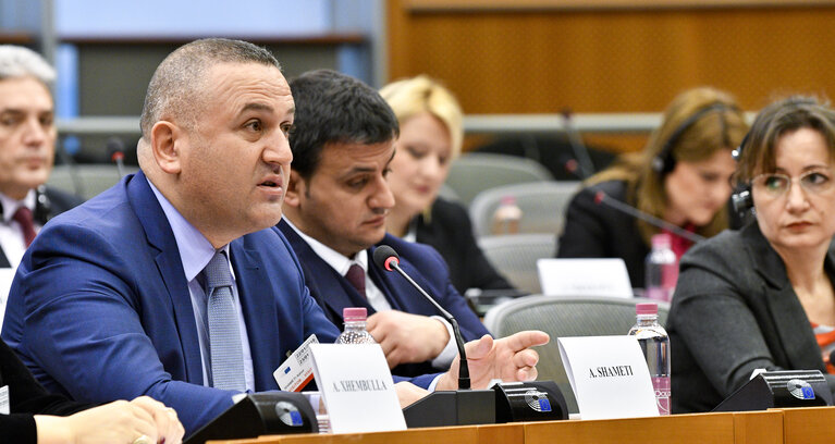 Foto 10: Meeting of the EP delegation for relations with Parliaments from the Western Balkans