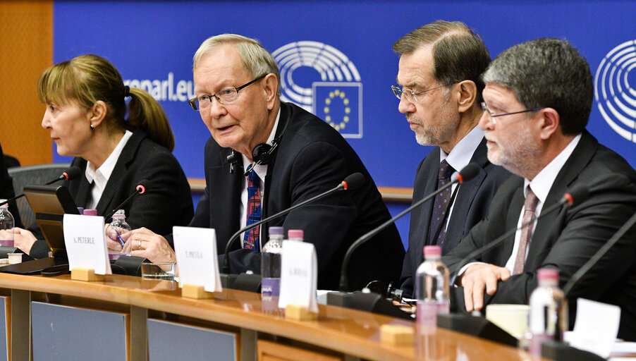 Foto 7: Meeting of the EP delegation for relations with Parliaments from the Western Balkans