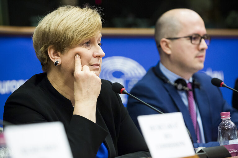 SEDE Committee - AFET/SEDE/D-US exchange of views on US National Security Strategy