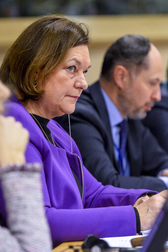 Photo 3 : Special Committee on Terrorism - Exchange of views with Deputy Secretary General for Common Security and Defence Policy and Crisis Response at the European External Action Service