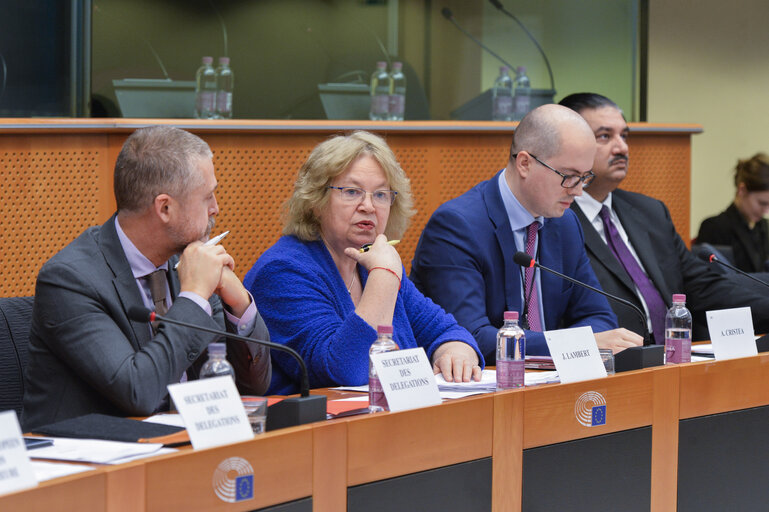 Foto 14: Meeting of the EP delegation for relations with the countries of South Asia with the Minister for Defence of Pakistan