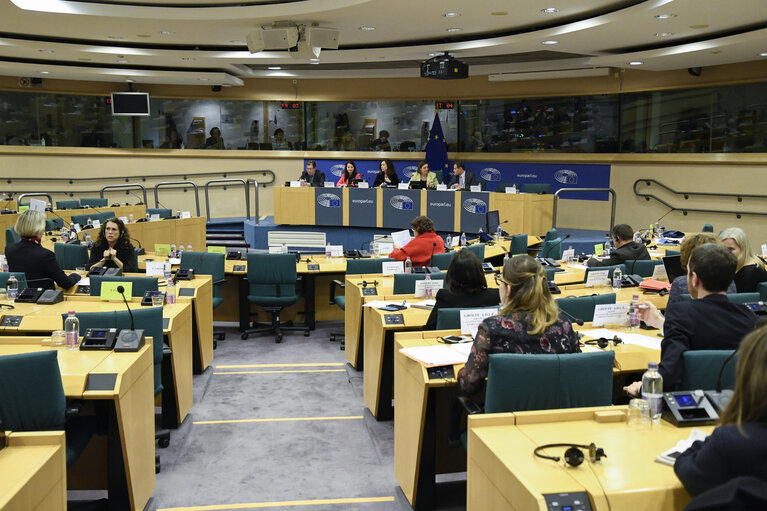 Fotografie 8: Special Committee on Terrorism - Exchange of views with Executive Director of Frontex